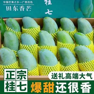 �V����ɫ��|����â����ˮ����â������10��5�����F����â���l