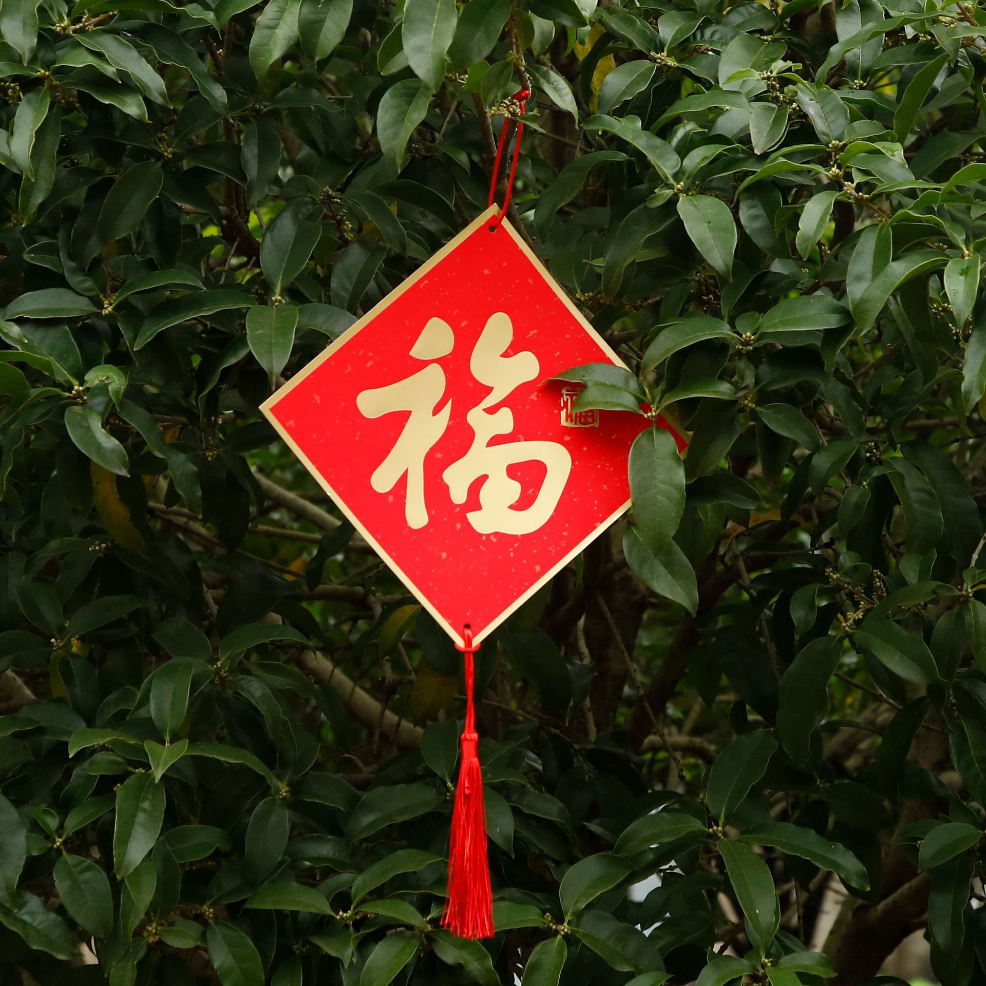 Moving house decoration and arrangement moving ceremony supplies 2022 housewarming creative moving joy door stickers small couplets