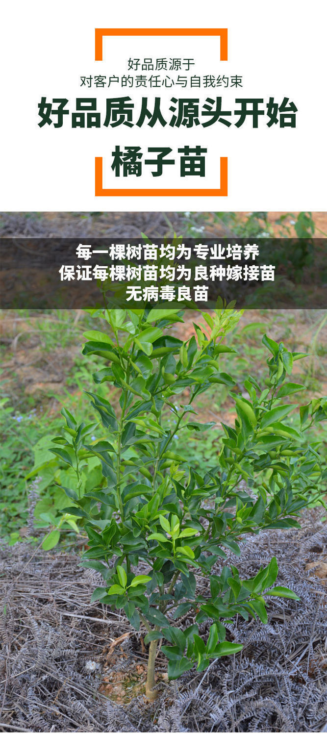 8838c4f1-c4e0-4da8-a4d9-171cbf