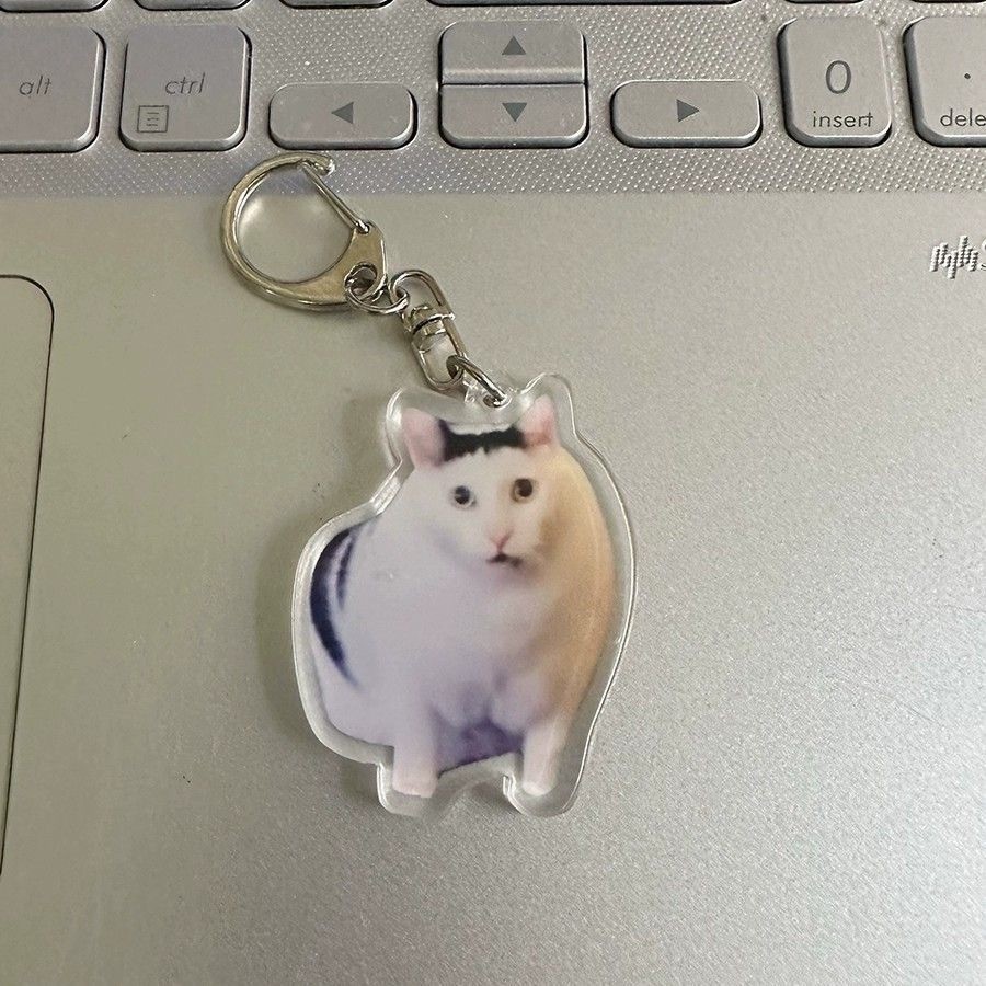 Colgar adornos Amazon popularidad en línea gatos gatos acrílicos llaveros escultura de arena interesante memes gatos gatos pequeños
