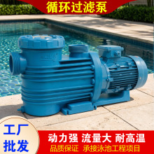 游泳池循环泵鱼池吸污机吸污泵大功率爱克泳池过滤循环水泵抽水泵