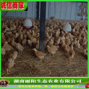 ���lÓ���u���K�����u���wһ�����u�м����u���������׻���B���u