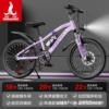 Mercedes Benz, bike shifter (brake handle), bike spokes disc brake, shock-absorbing set