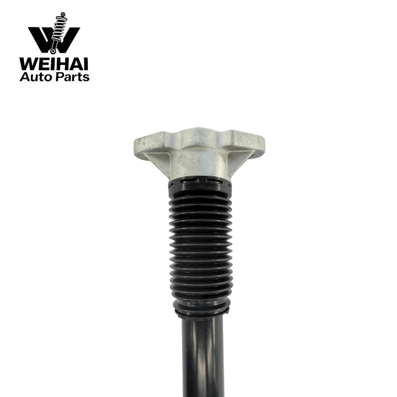 Mercedes-Benz 167 Standard Rear Assembly Shock Absorber Mercedes-Benz Gle Model Accessories Suspension Adjustable 1673205903