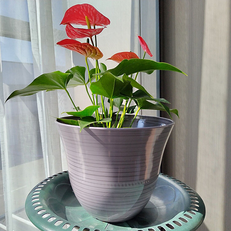 QQ图片20221115143604