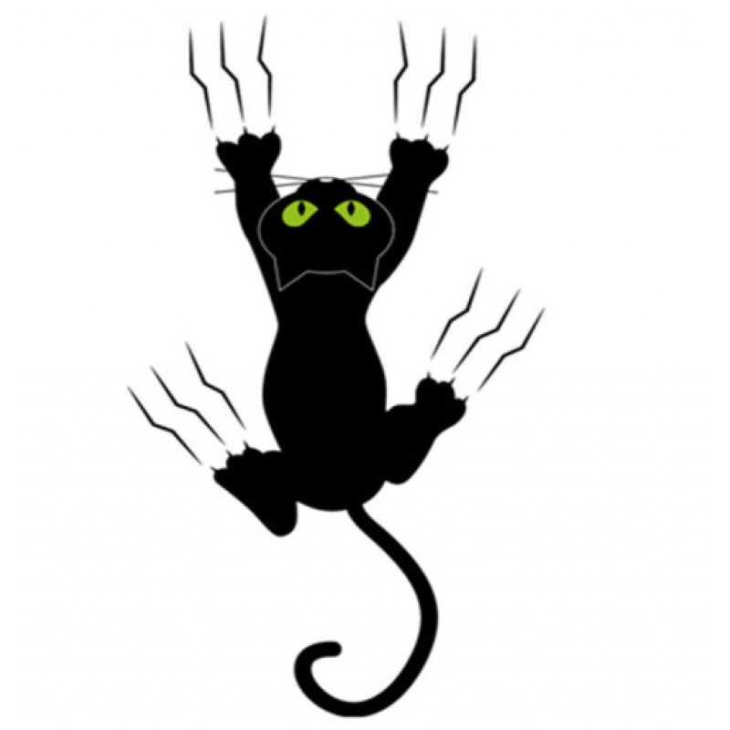 Naughty cat