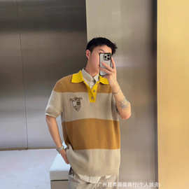 正确版本 Fd 混合平纹针织POLO衫百搭
