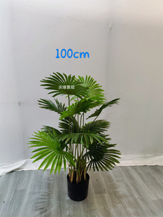 ����С�ȿ�����U�A�~�ؙ����������˿��辰�Ꭷ�쾰�[�O�GֲС��