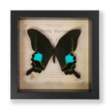 ������˱���� �Wʽ�ֹ��Ҿߔ[���Ʒ�ڒ��diy���նY���Ʒ�YƷ