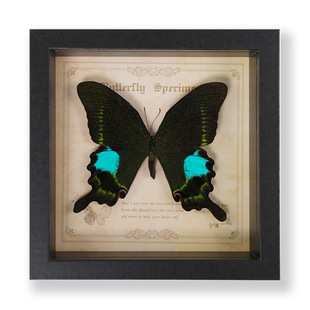 ������˱���� �Wʽ�ֹ��Ҿߔ[���Ʒ�ڒ��diy���նY���Ʒ�YƷ