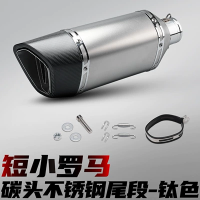head, competitive stainless steel tail – Motorcycle exhaust pipe - short-roman-carbon-tip-titanium-color