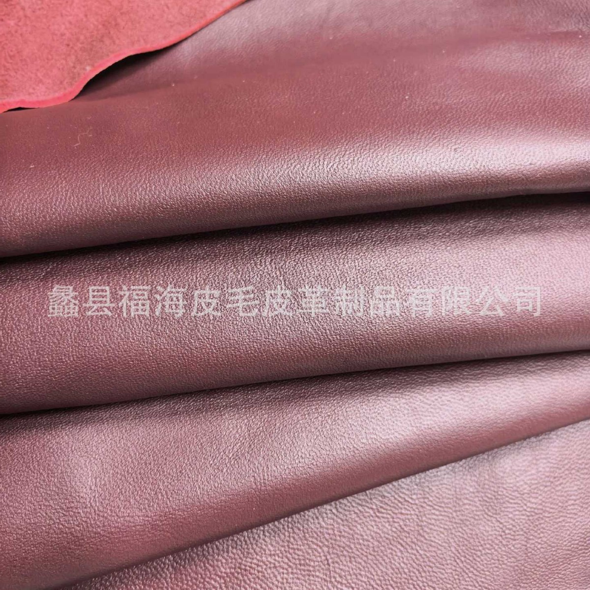자주색