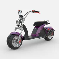 Производитель специализируется на флагманской модели электромобиля Harley M6 с конфигурацией EEC 3000W Citycoco, отличающейся высоким качеством и опытом.