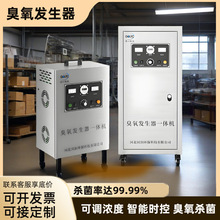 大型臭氧发生器100G氧气源养殖桶装水泳池工业空间水箱杀菌消毒器