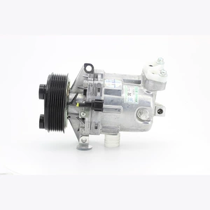 Nissan Wingroad üçün avtomobil kondisioner kompressoru