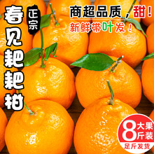 �����Ĵ���Ҋ�ҰҸ����rˮ�����l�������θ�������]�ǳ���ָ�