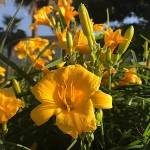 ����������������ͥԺ�G����������������ͺ��׻��^�~�^��ֲ��