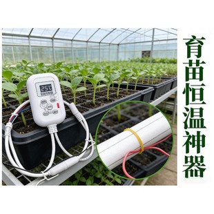 ��������l����ؿؼӟᎧ��׼�؜��װ��b�a������