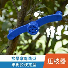 �@ˇ��֦���辰���͹��߹�����֦��������֦�ۏ�������֦�l��֦��