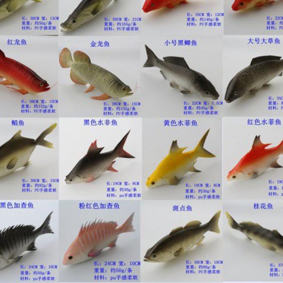海鱼龙虾玩具淡水鱼鲤鱼仿真鱼模型红鱼摆件仿真螃蟹鲤鱼模型假鱼