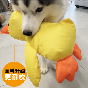 �������ţ����ҧ��˯�lС���␞������ë�»����ӌ�����żĥ��