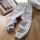 Children's Quick-drying Pants Men's Summer Thin Children's Wear Medium and Large Children's Pants 3-12 Years Old Anti-mosquito Pants Spring Breathable Mesh Pants Trousers