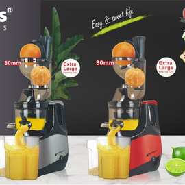 Hoffmans 635 Stailnless Steel  Slow Juicer 4pc/ctn 0.12cbm