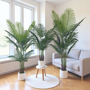 �ɲ��b����Gֲ����Ƶ�����쾰���Կ͏d�b[���F�����߷���