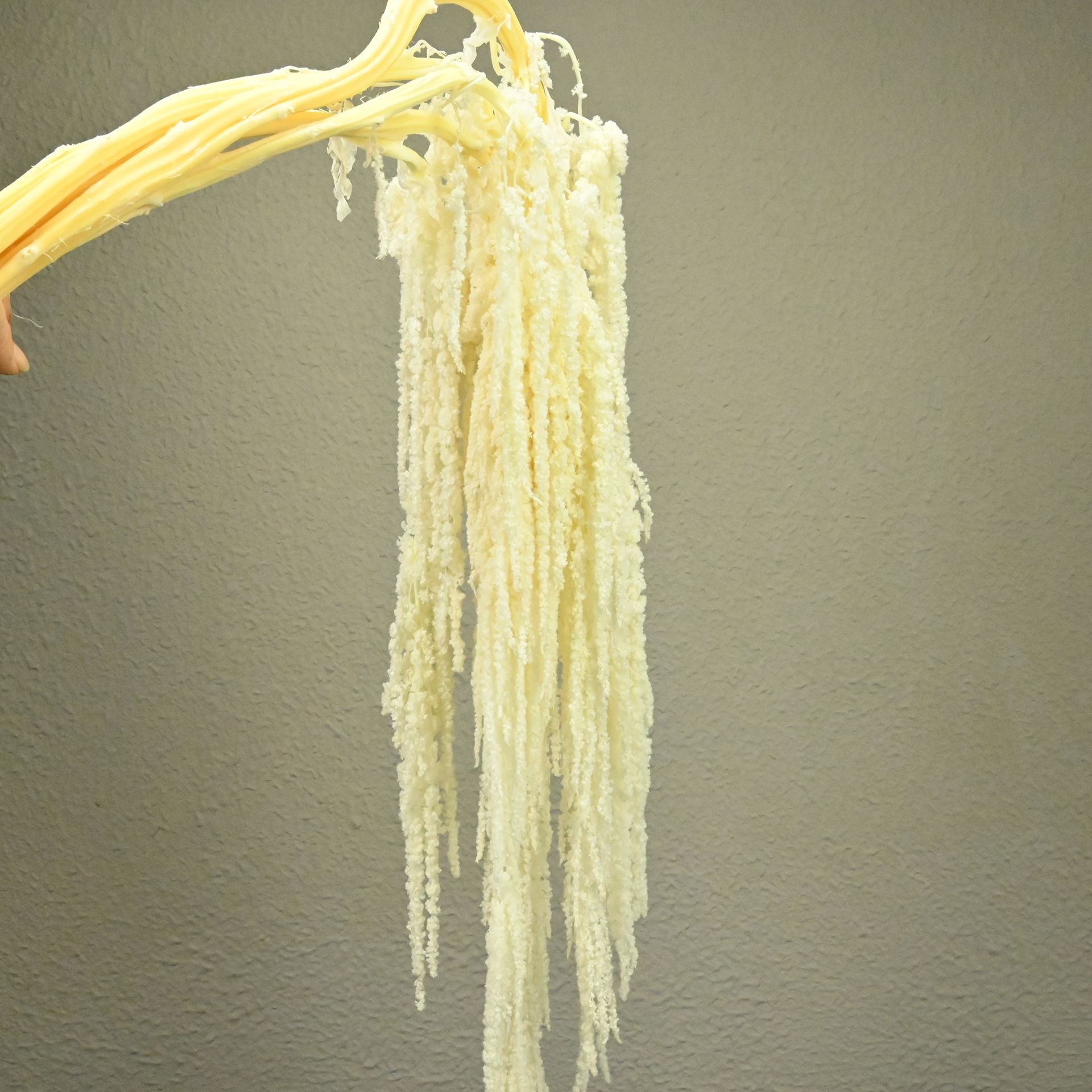 Flores fantasmas colgantes de arroz flor inmortal Juliet Amantes lágrimas colgantes de flores de decoración de bodas flores verdaderas