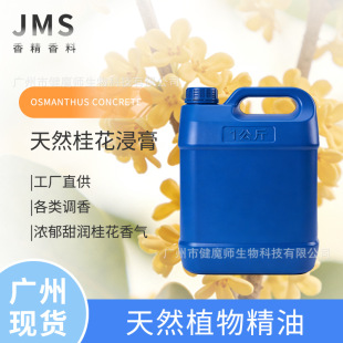 JMS���� ��Ȼ�𻨽��� OSMANTHUS CONCRETE �𝙹���������L