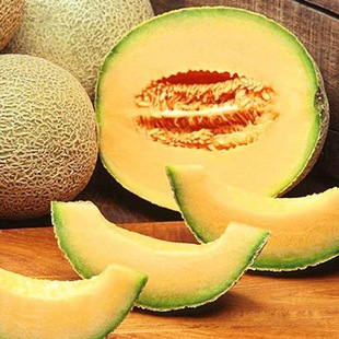 Запас канталупы Xizhou Melon № 25 Honeydles Свежие фрукты свежие фрукты в сезон к сезону, один кусок свежего родословного рода