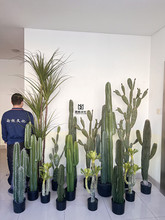 �������������������������Դ���ֲ���쾰�҃ȾƵ��̈����^�b�