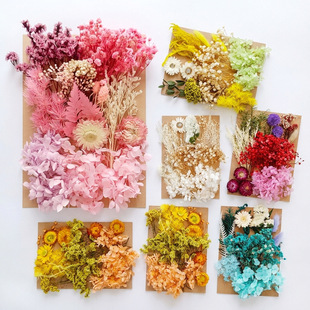 �������ϰ��ɻ����������DIY������޹Ϟ�T�ɻ���ϏS�����l