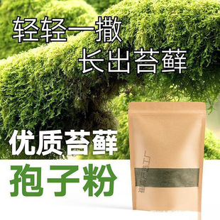 ̦�\�N�ӷ�ĩ��ˮʯ��ɽ��ˮʯ�辰�r����̦�N��̦�\���ӷ�ֲ��