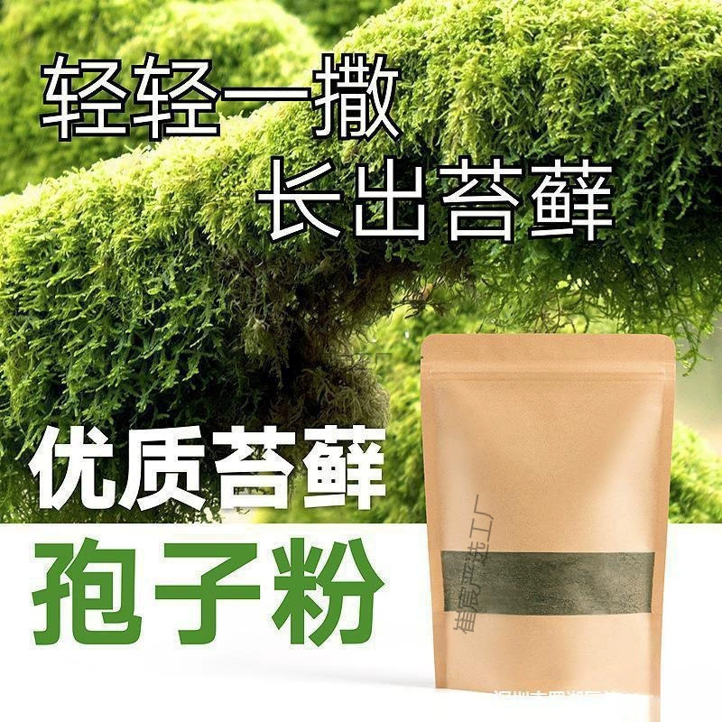 Порошок семян мха, впитывающий камень, каменный горный камень, водный камень, бонсай, свежие семена мха, порошок спор мха, растение