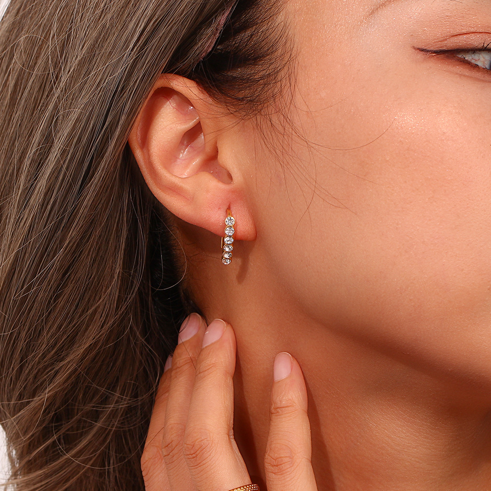 Model Show Zircon Inlaid Fishhook Stainless Steel Earrings