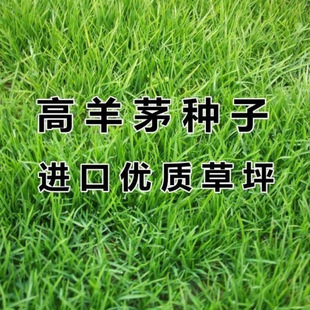 ��ƺ�N�Ӹ���é�N�Ӻ�����ͥԺ�G�������o�¾G���ļ��������