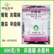 50%异菌脲 葡萄番茄花卉月季灰霉病晚早疫病果树蔬菜杀菌剂16克