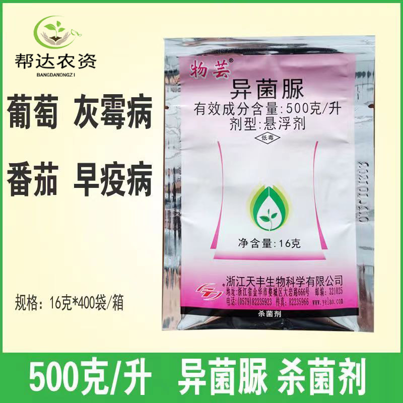 50%异菌脲 葡萄番茄花卉月季灰霉病晚早疫病果树蔬菜杀菌剂16克