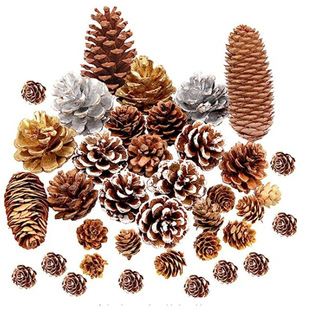 Christmas Decoration Set Pine Cone Pine Needle Red Fruit Acorn Lotus Gift Box Decoration Combination Handmade DIY