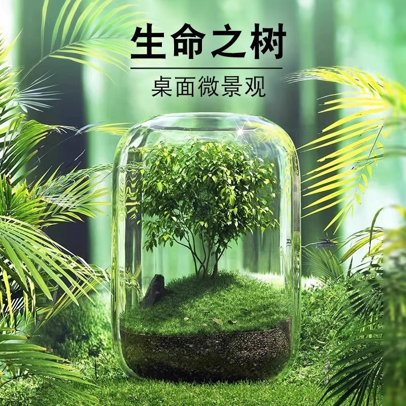 生态瓶微景观鱼小型小鱼缸桌面造景观赏鱼虾diy创意生态鱼缸|undefined