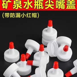 矿泉水瓶盖尖嘴转换头密封盖万能型防漏油壶塑料直嘴长嘴替换盖帽