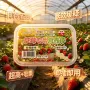 缓释通用型多肉盆栽棒