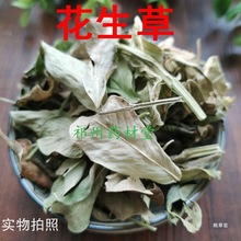 ����ȫ�� ��؛ ������ ������ 500����؛��؛