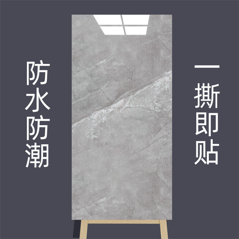 앙카라 그레이 [방수 및 방습] 껍질과 스틱