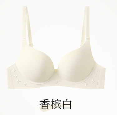 Ventas directas de fábrica comercio electrónico transfronterizo Sudeste de Asia Vietnam Tailandia damas simples y cómodas sujetador de colección lateral sin costuras