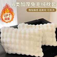 �p����ë�q����һ���b�ﶬ��ů���^�׼Ӻ�ţ�̽q��о��đ�׷��^��