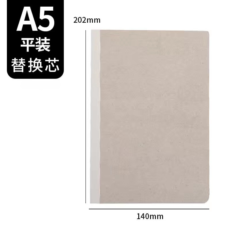 페이지 내부 교체 (300) 피부 없음