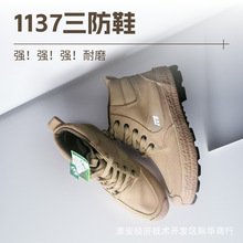 ǿ��1137��ŸɻЬ�����ͱ�������Ь���Ͱ�������ĥ������ĥ��