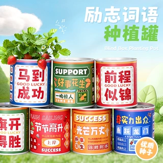 励志词语易拉罐种植盆栽小学生奖品桌面绿植小摆件植物生长观察盒